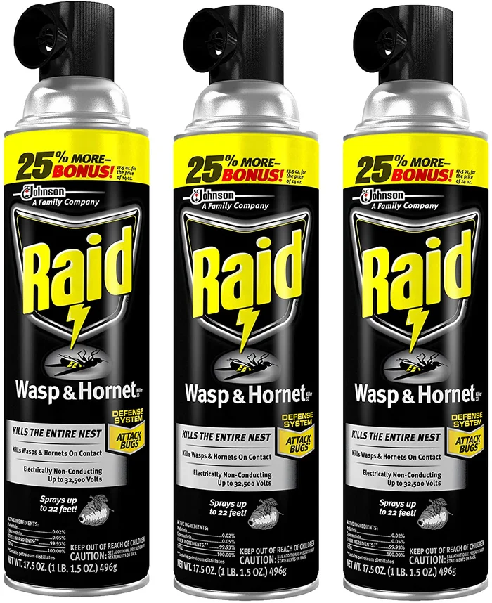 Raid Wasp and Hornet Killer 17.5 Ounce Can