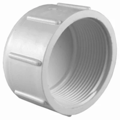 Schedule 40 Threaded Pipe Cap, White, 2 In.
