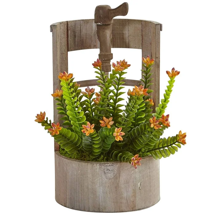 Sedum in Garden Planter