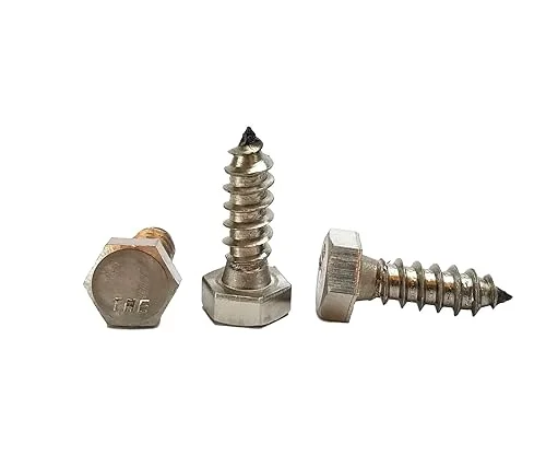 Stainless 5/16 x 1 Hex Lag Screw (1′ to 5′ Lengths Available in Listing), 18-8 Stainless Steel, 25 Pieces (5/16 x 1)