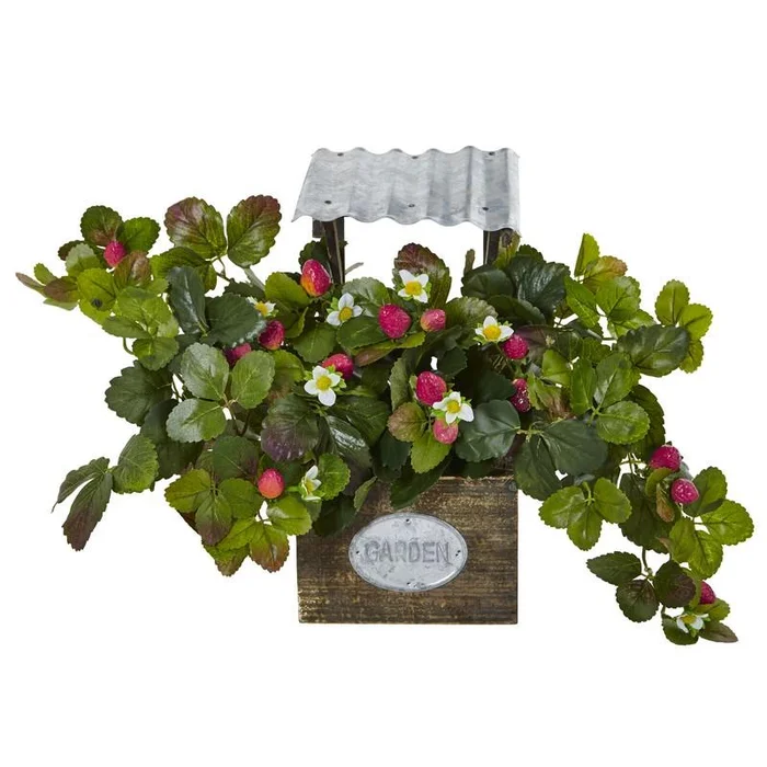 Strawberry Bush in Garden Planter