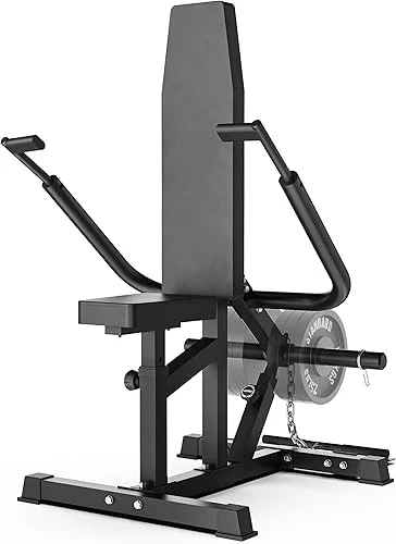 Synergee Seated Dip Machine – Heavy-Duty Tricep Workout Station with Adjustable Seat & Ergonomic Handles for Targeted Arm Training