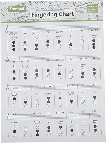 Trumpet Chord Chart Chords Reference Poster Scales Reference Fingering Practice Chart(Trumpet Chord Chart (Large Size))