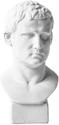 WaNana 5.9''-7.48'' Plaster Bust Statue Resin Casting Painting Sketch Figurines-Michelangelo Sculpture David Venus Apollo-for Home Decoration Art Hobbyist Agrippa