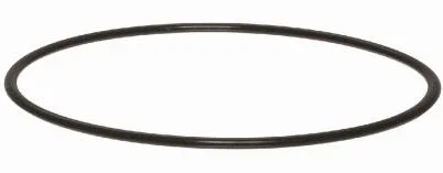 Water Filter Housing O-ring, 3/4-in.