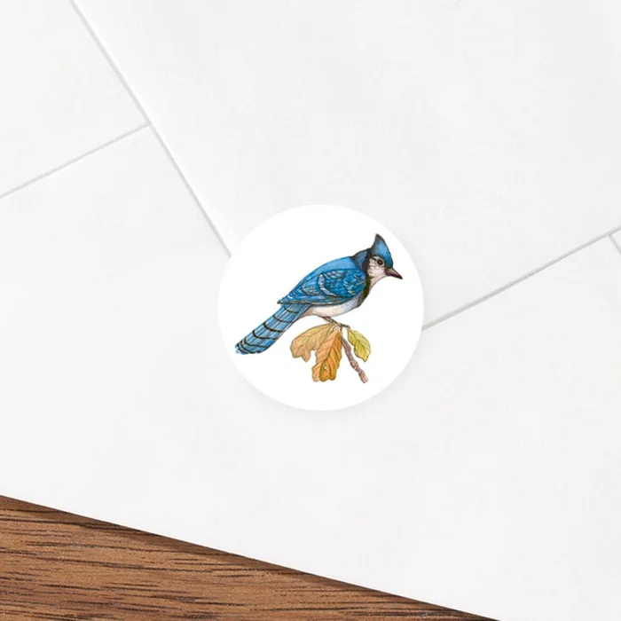 Wild Birds Seals 250