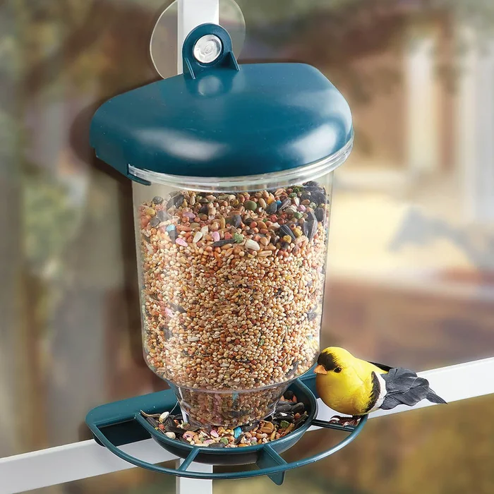 Window Bird Feeder